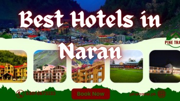 Best Hotels In Naran